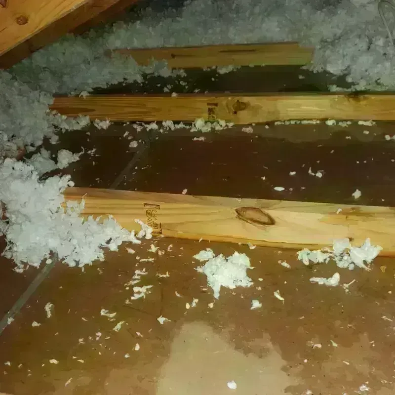 Attic Water Damage in Iowa Park, TX