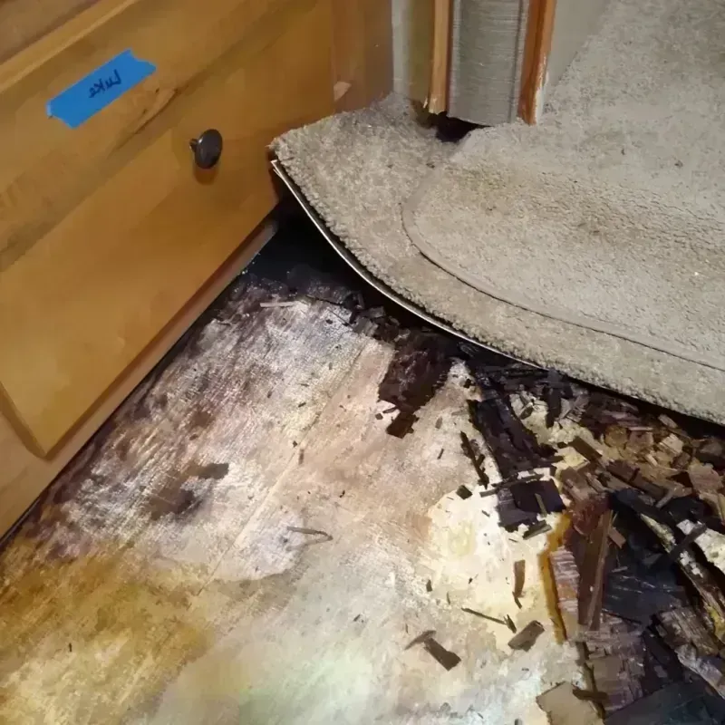 Wood Floor Water Damage in Iowa Park, TX